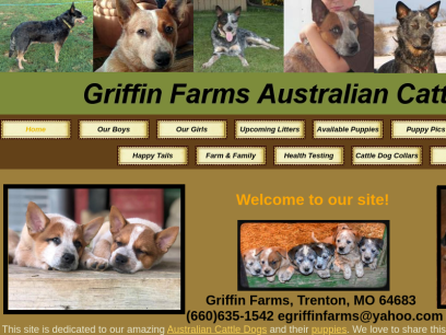 griffinfarmscattledogs.com.png