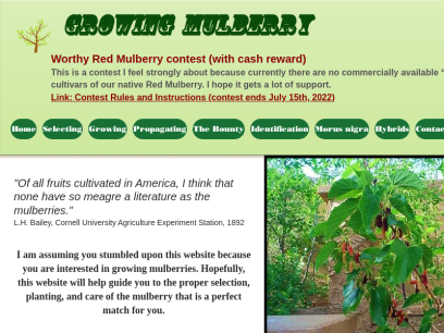growingmulberry.org.png
