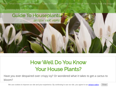 guide-to-houseplants.com.png