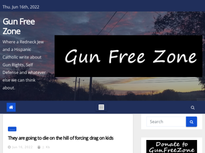 gunfreezone.net.png