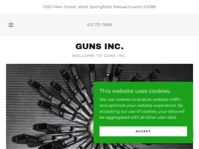 guns-inc.com.png