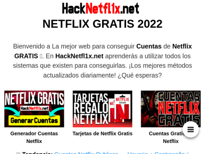 hacknetfl1x.net.png