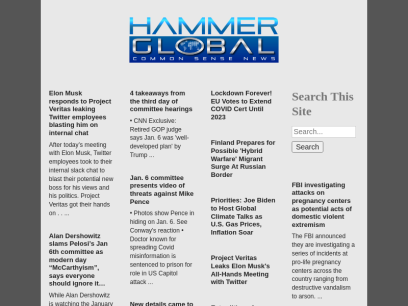 hammerglobal.com.png