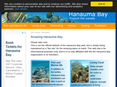 hanauma-bay-hawaii.com.png