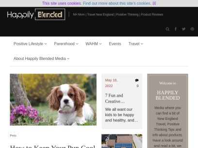 happilyblended.com.png