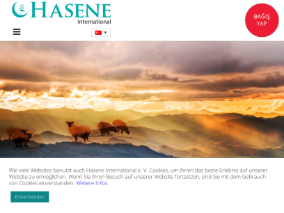hasene.org.png
