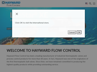 haywardflowcontrol.com.png