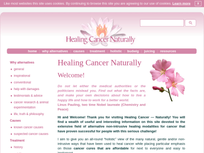 healingcancernaturally.com.png