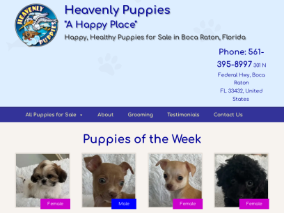 heavenlypuppy.com.png