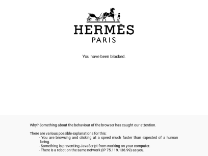 hermes.com.png