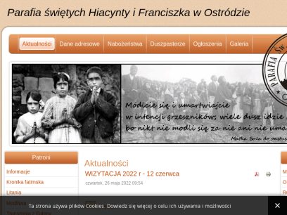 hiacynta.ostroda.pl.png