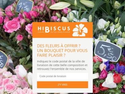 hibiscusfleurs.fr.png