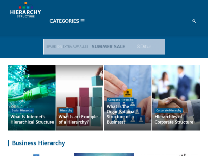 hierarchystructure.com.png