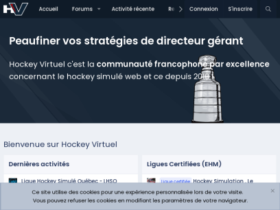 hockeyvirtuel.ca.png