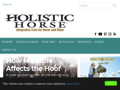 holistichorse.com.png
