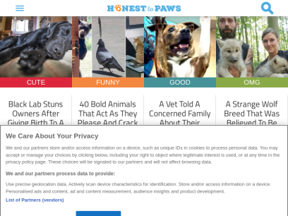 honesttopaws.com.png