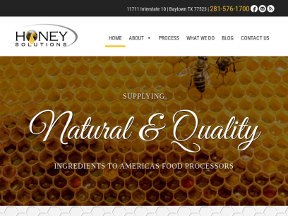 honeysolutions.com.png