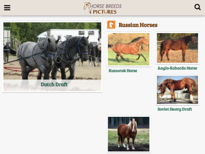 horsebreedspictures.com.png
