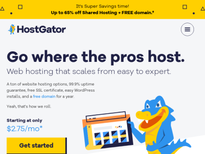 hostgator.com.png