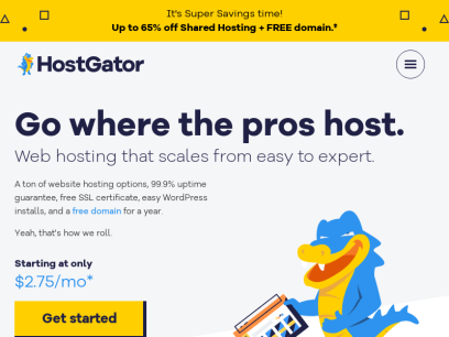 hostgator.com.tr.png