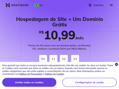 hostinger.com.br.png