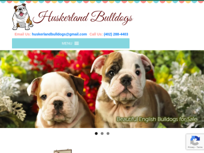 huskerlandbulldogs.com.png