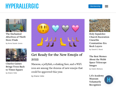 hyperallergic.com.png