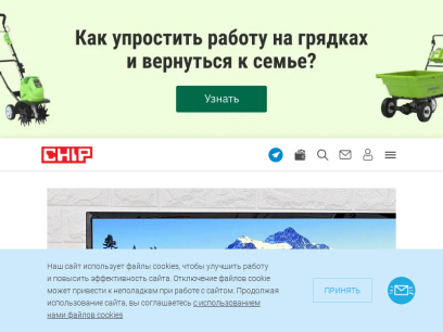 ichip.ru.png