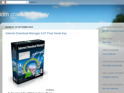 idm manager free.blogspot