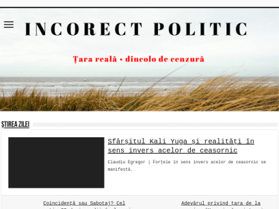 incorectpolitic.com.png