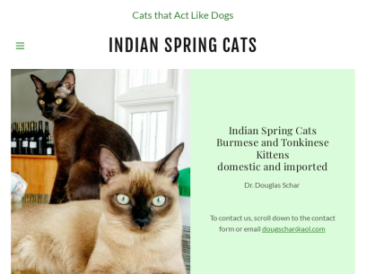 indianspringcats.com.png