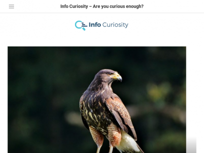Info Curiosity - Are you curious enough?