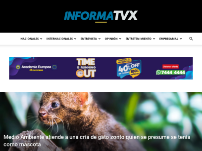 informatvx.com.png