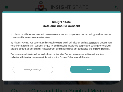insightstate.com.png