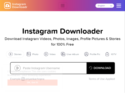 Download Instagram Videos, Photos, DP, Stories For Free | Instagram Downloader
