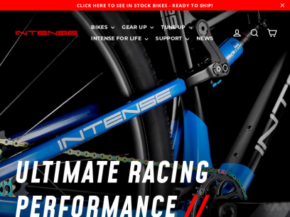 intensecycles.com.png