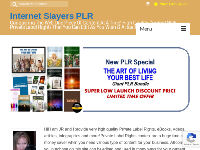 Buy High Quality PLR eBooks, Videos, Infographics