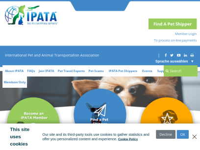 ipata.org.png