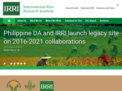 irri.org.png