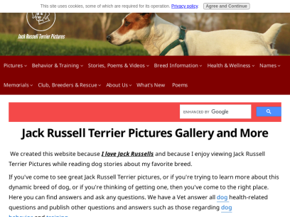 jack-russell-terrier-pictures.com.png