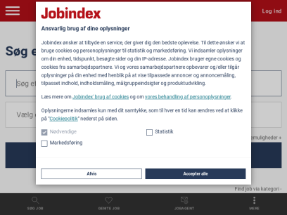 jobindex.dk.png