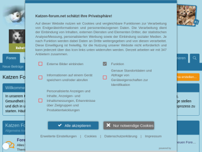 katzen-forum.net.png