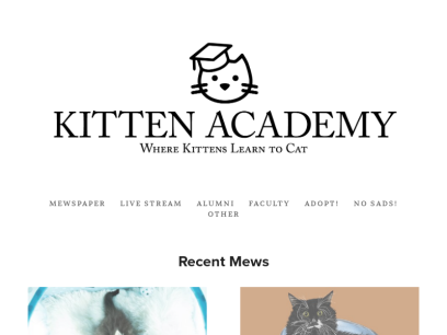 kitten.academy.png