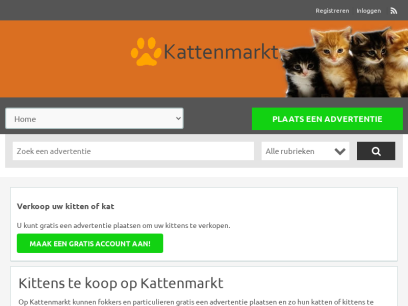 kittens-tekoop.nl.png