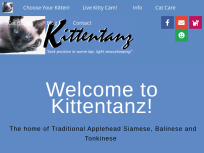 kittentanz.com.png