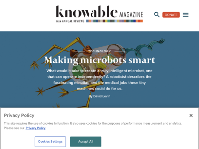 knowablemagazine.org.png