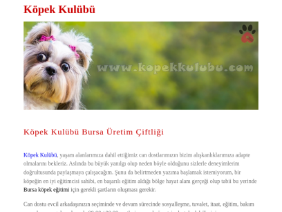 kopekkulubu.com.png