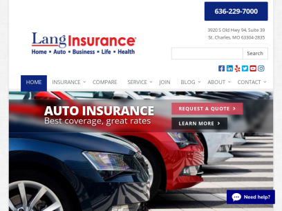 langinsurance.com.png