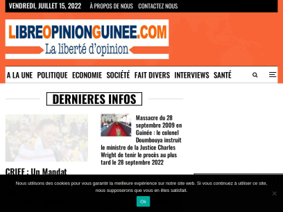 libreopinionguinee.com.png