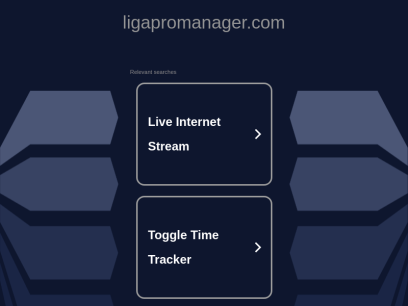ligapromanager.com.png